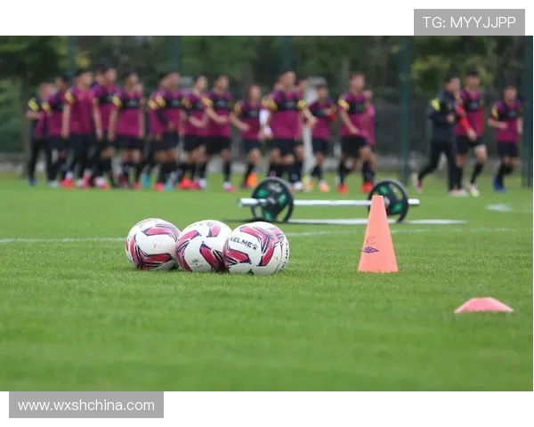 武汉排球队的阵地战策略与技战术深度解析