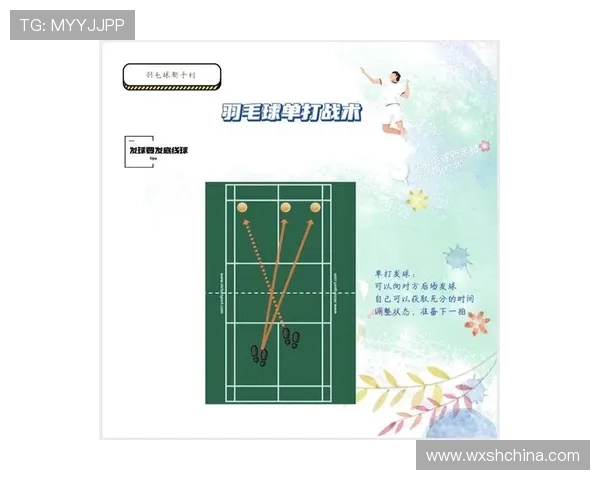 深入分析杭州羽毛球队边路渗透战术的独特魅力与实战应用